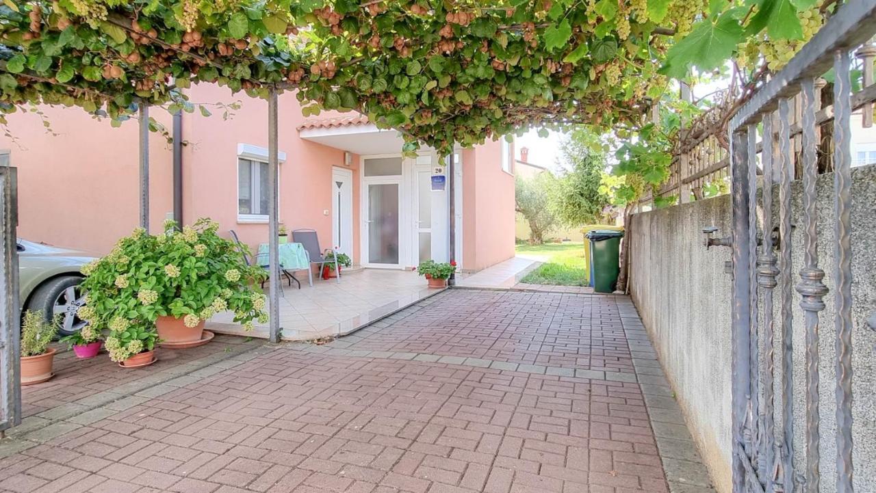 Appartement Stelia à Novigrad Istria Extérieur photo