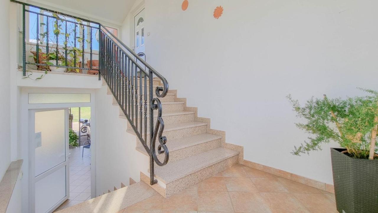 Appartement Stelia à Novigrad Istria Extérieur photo